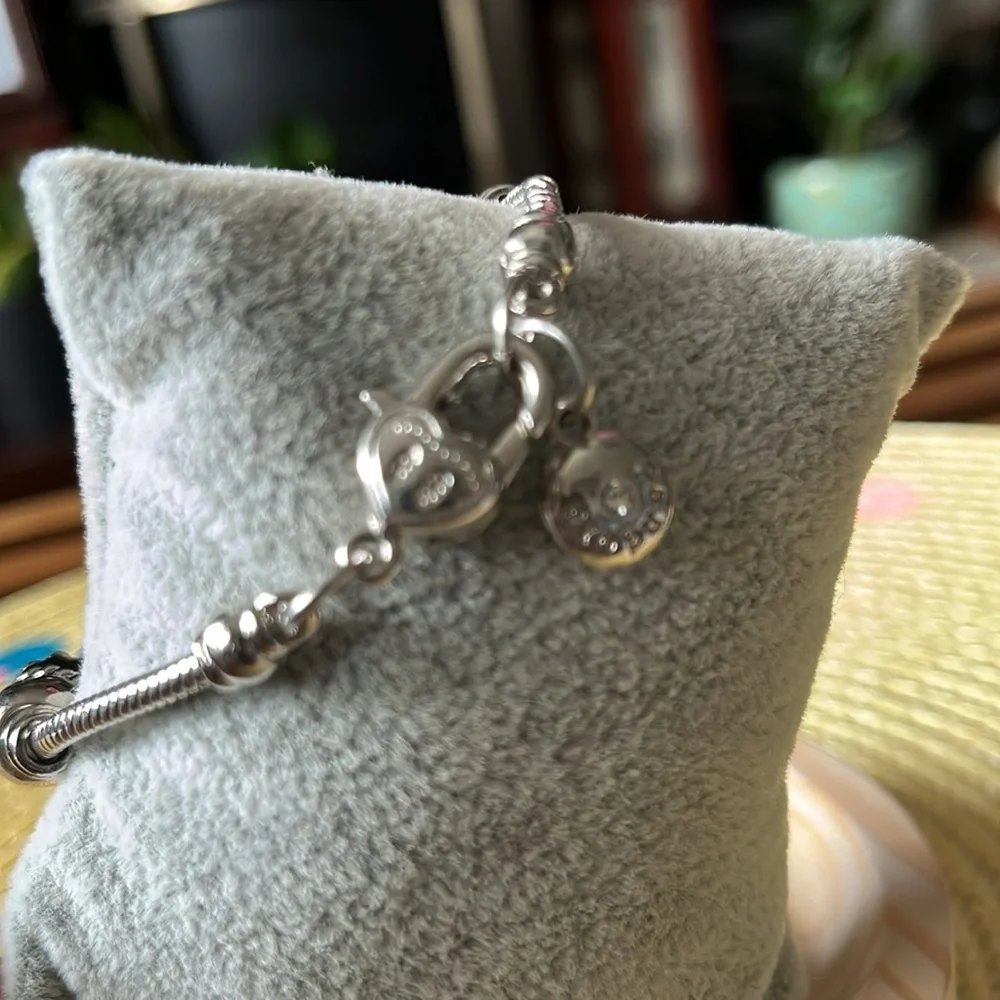 N/A nwot pandora